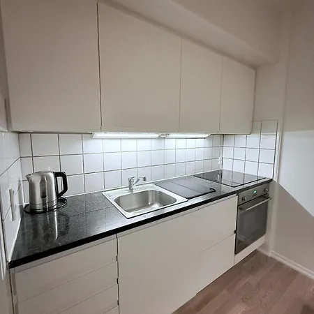 By The Lakes In Copenhagen